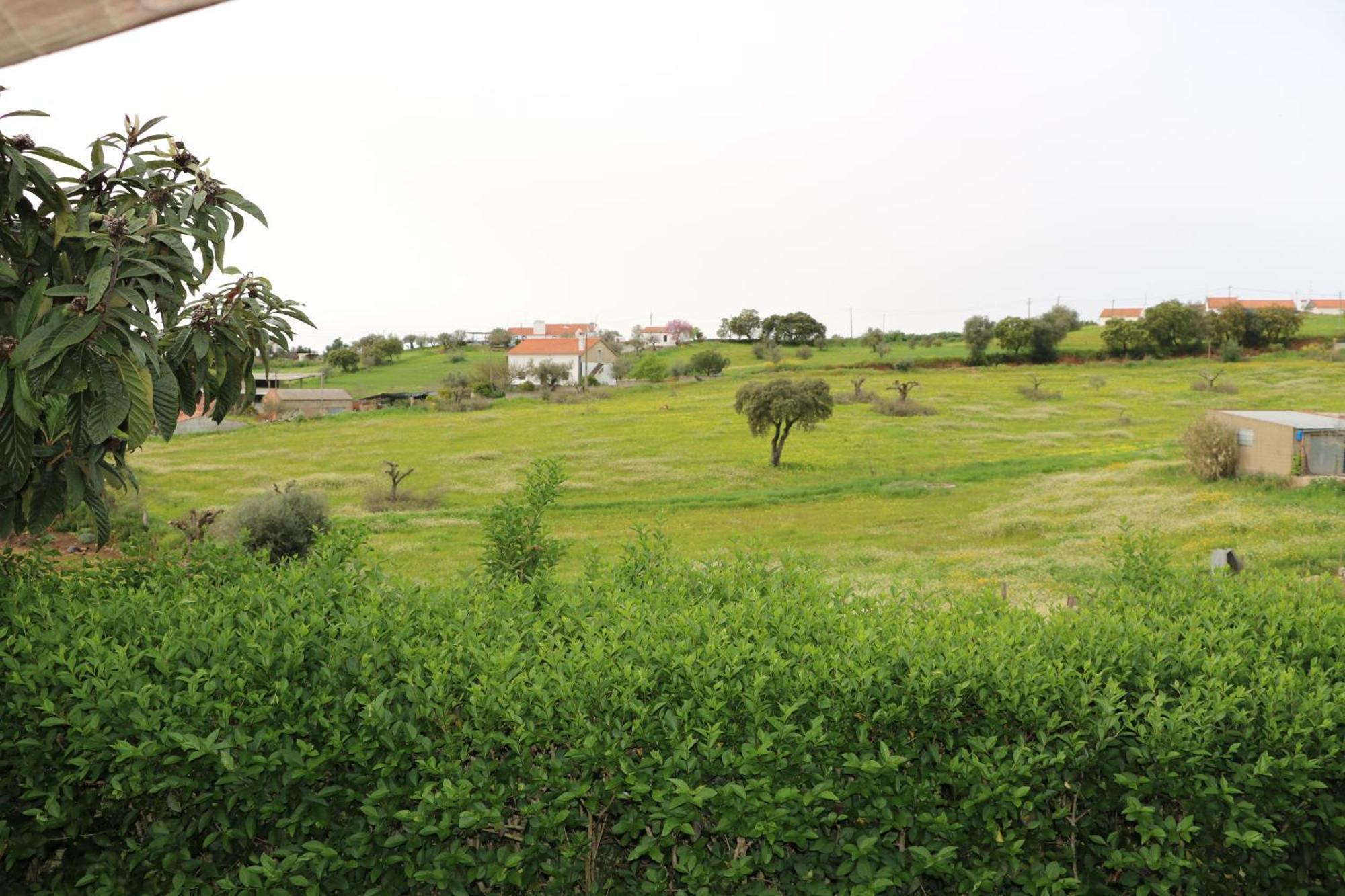 C M Casa De Mares Alojamento Local Casas Novas de Mares エクステリア 写真