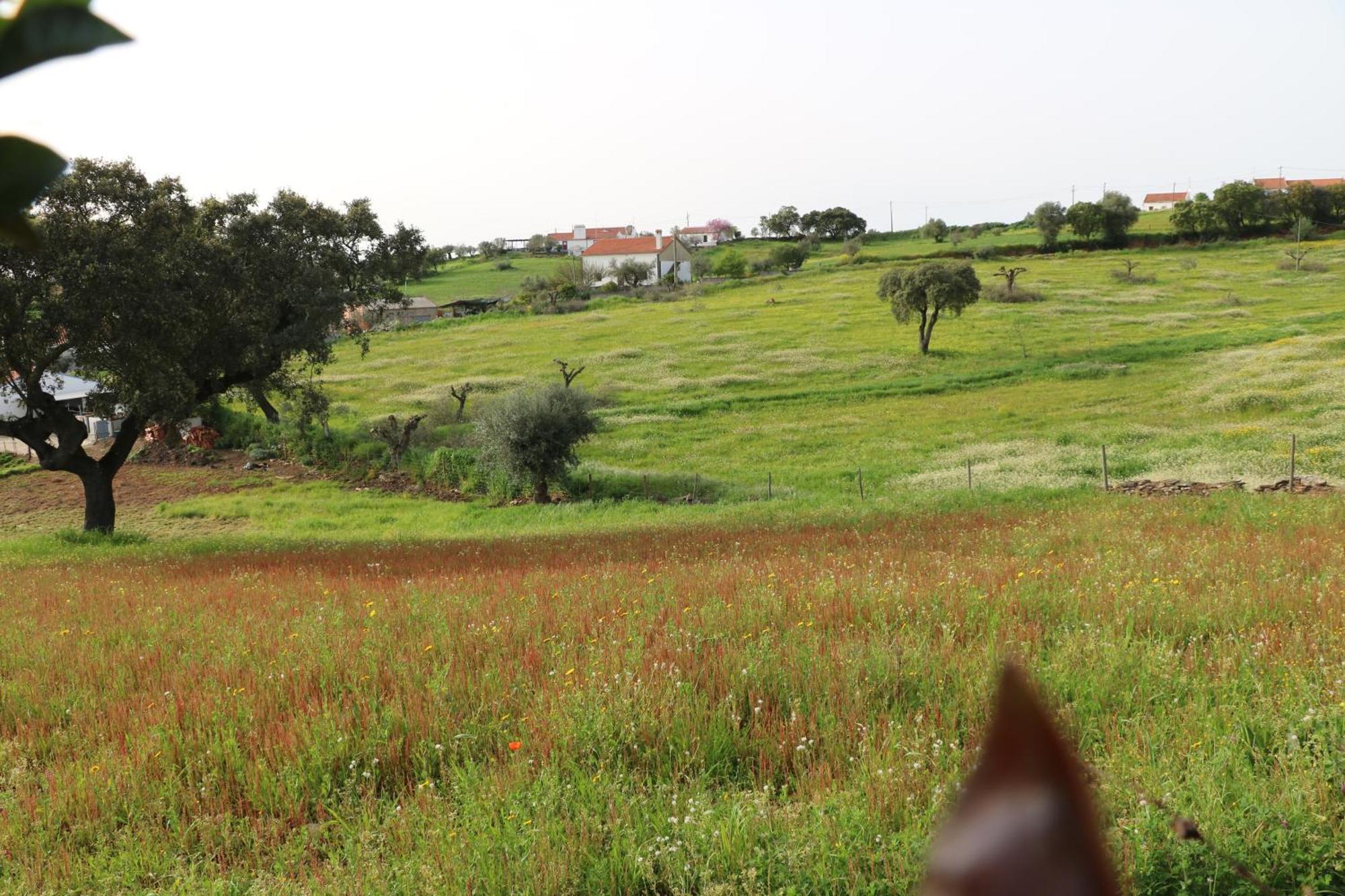 C M Casa De Mares Alojamento Local Casas Novas de Mares エクステリア 写真